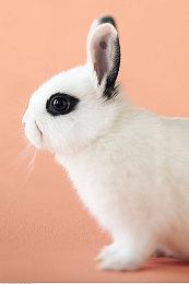 《装甲核心6》媒体赞誉宣传片：“机甲游戏杰作”